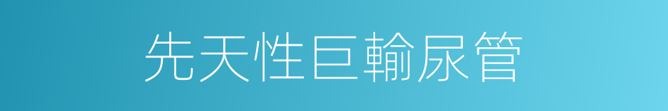 先天性巨輸尿管的同義詞