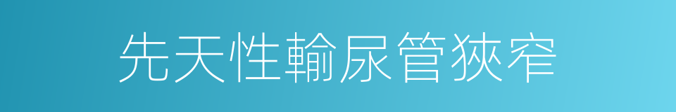 先天性輸尿管狹窄的同義詞