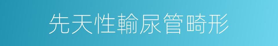 先天性輸尿管畸形的同義詞