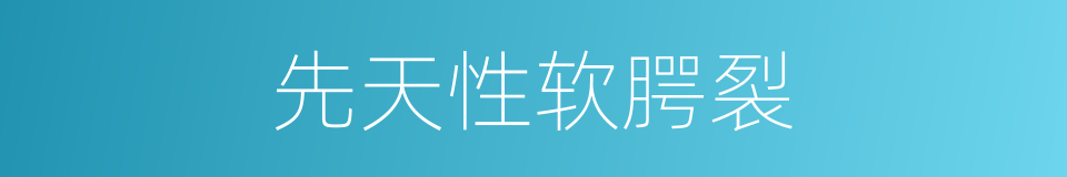 先天性软腭裂的同义词