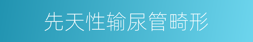 先天性输尿管畸形的同义词
