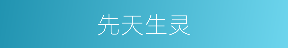 先天生灵的同义词