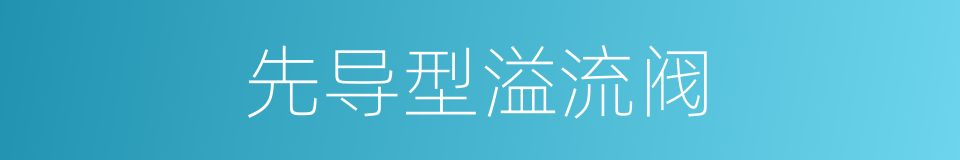 先导型溢流阀的同义词