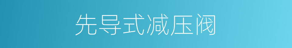 先导式减压阀的同义词