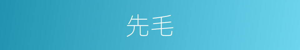 先毛的意思