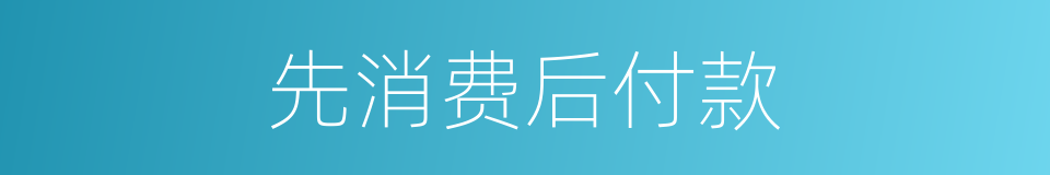 先消费后付款的同义词