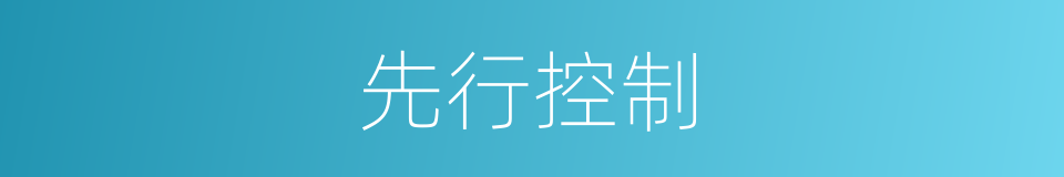 先行控制的同义词