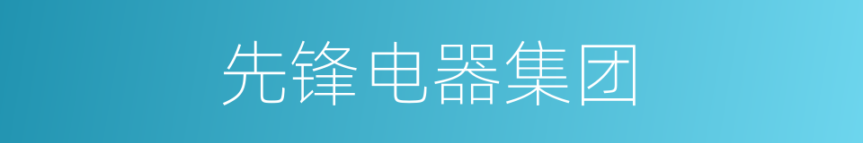 先锋电器集团的同义词