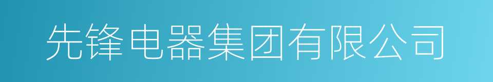 先锋电器集团有限公司的同义词