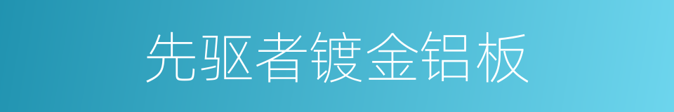 先驱者镀金铝板的同义词