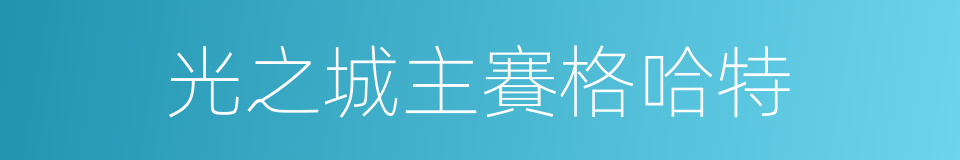 光之城主賽格哈特的同義詞