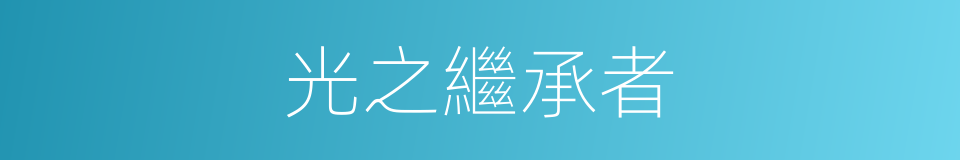 光之繼承者的同義詞