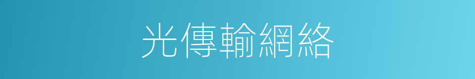 光傳輸網絡的同義詞