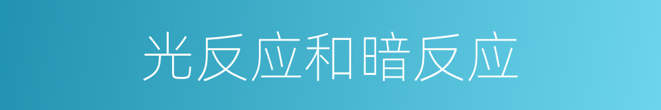 光反应和暗反应的同义词