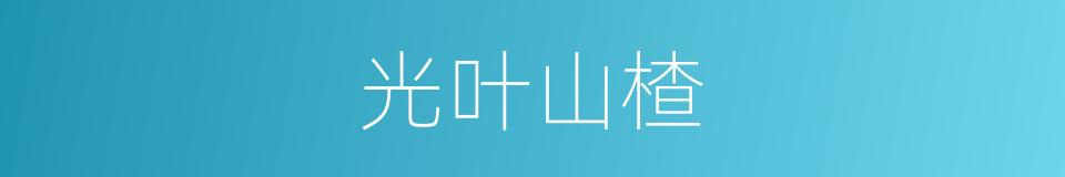 光叶山楂的同义词