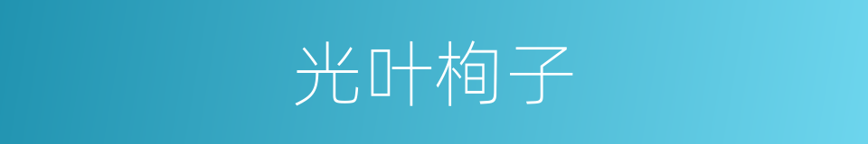 光叶栒子的同义词