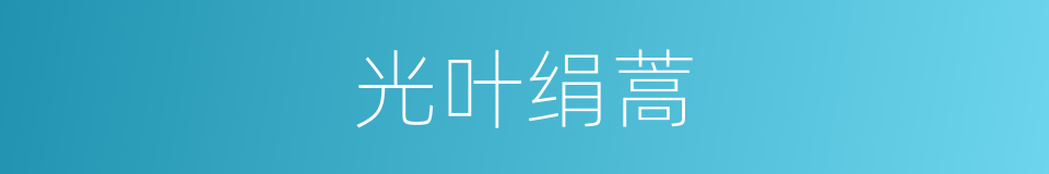 光叶绢蒿的同义词