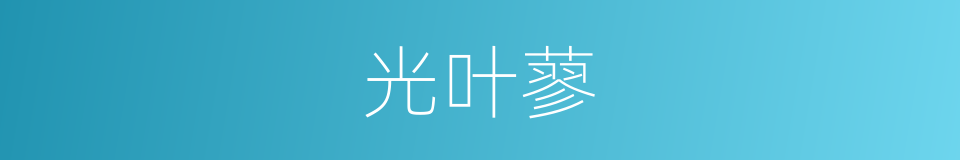 光叶蓼的同义词