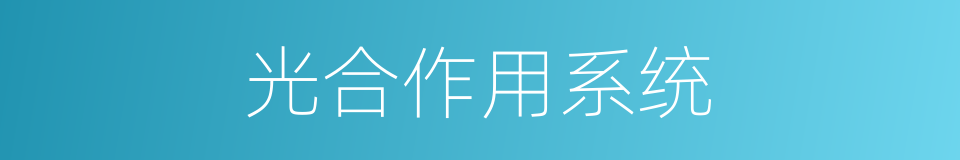 光合作用系统的同义词