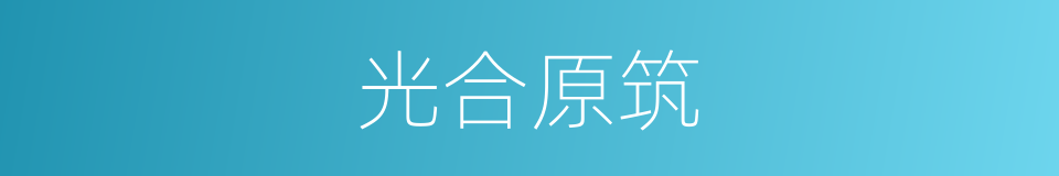 光合原筑的同义词