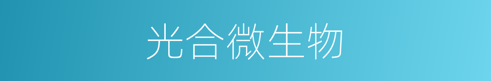 光合微生物的同义词