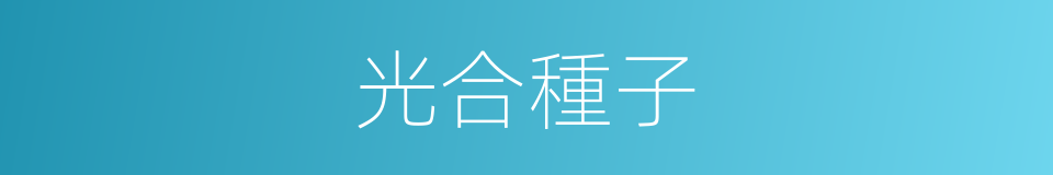 光合種子的同義詞