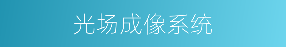 光场成像系统的同义词