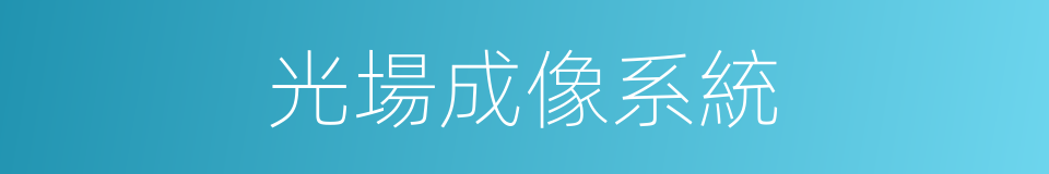 光場成像系統的同義詞
