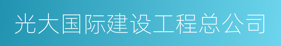 光大国际建设工程总公司的同义词