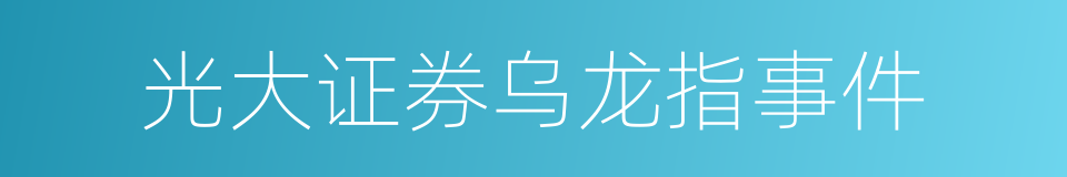 光大证券乌龙指事件的同义词