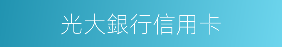 光大銀行信用卡的同義詞