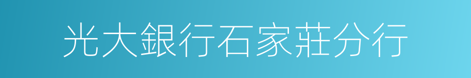 光大銀行石家莊分行的同義詞