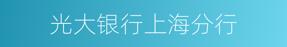 光大银行上海分行的同义词