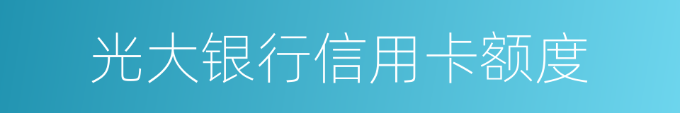 光大银行信用卡额度的同义词