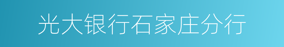 光大银行石家庄分行的同义词