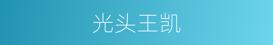 光头王凯的同义词