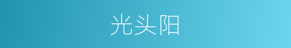 光头阳的同义词