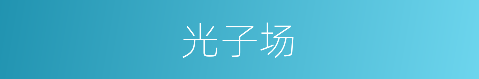 光子场的同义词