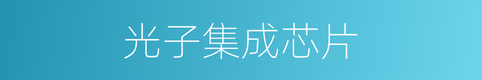光子集成芯片的同义词