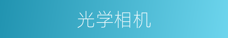 光学相机的同义词