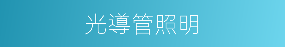 光導管照明的同義詞