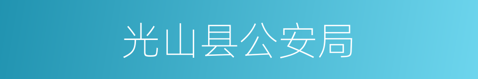 光山县公安局的同义词