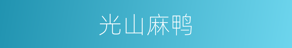 光山麻鸭的同义词