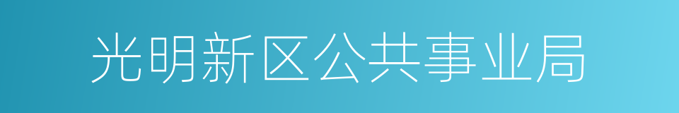 光明新区公共事业局的同义词