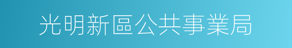 光明新區公共事業局的同義詞