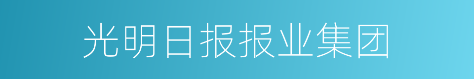 光明日报报业集团的同义词