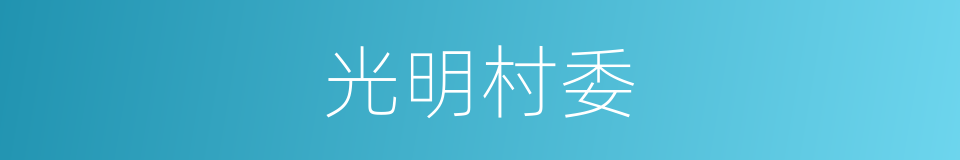 光明村委的同义词