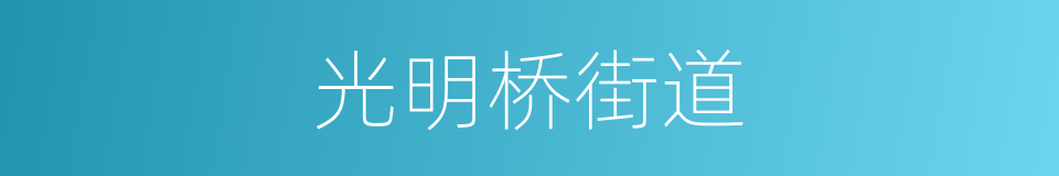 光明桥街道的同义词