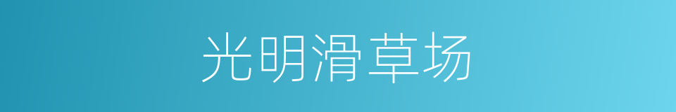 光明滑草场的同义词