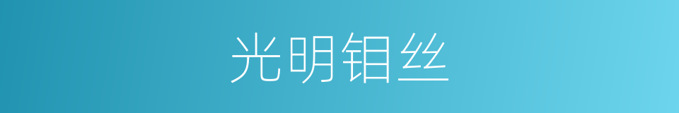 光明钼丝的同义词